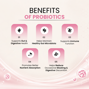 Muscle Food  Probiotics 3.3 Billion CFU